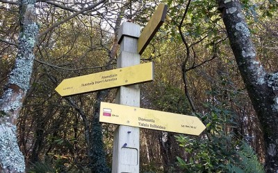 ¿Quien dice memoria?