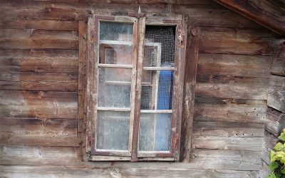 ¿Asistencia social o promoción social?