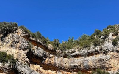 Paseo veroñal en la sierra de Guara