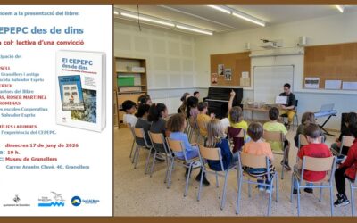 ¿Sólo es público lo que es institucional?